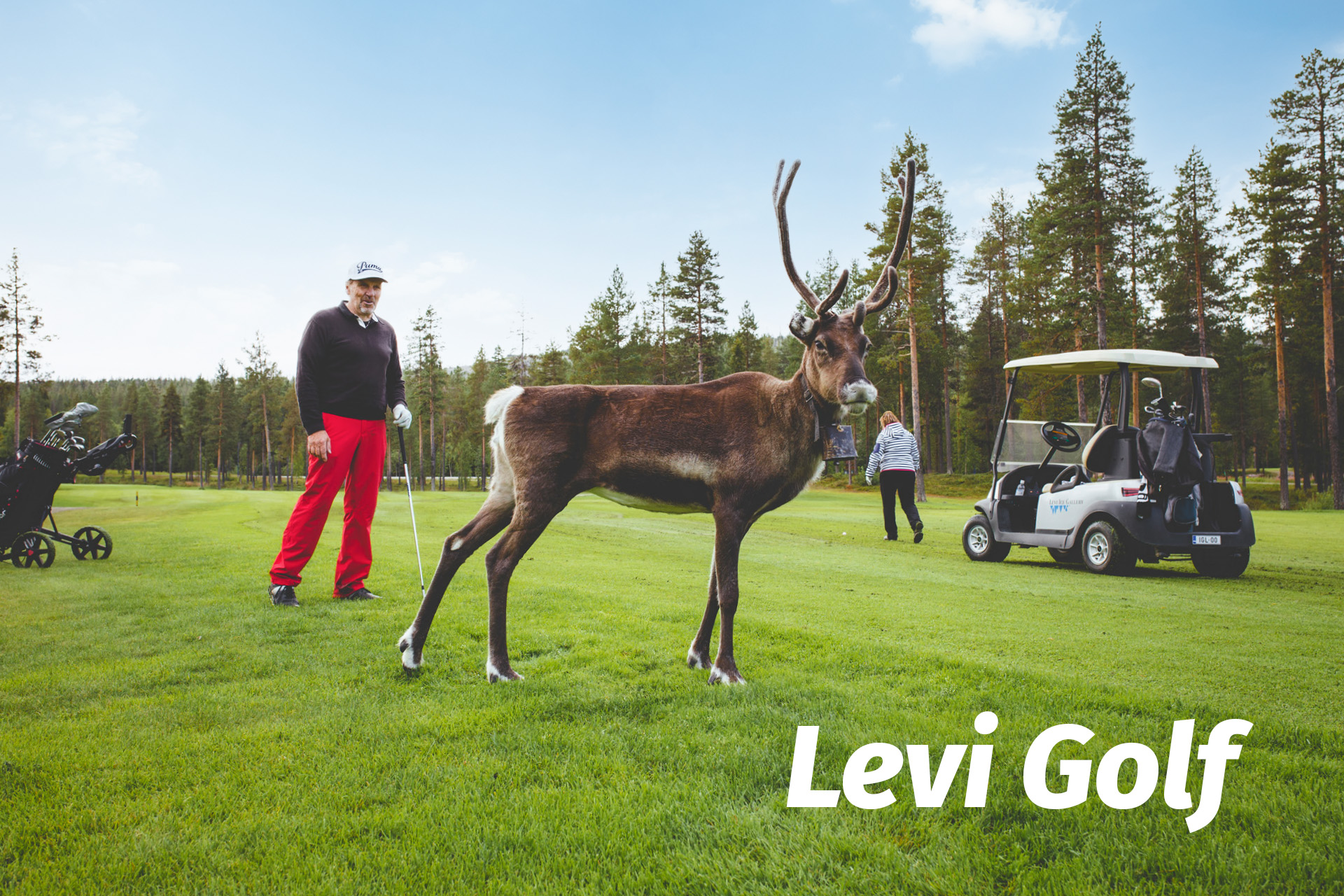 Levi Golf book now golf and room