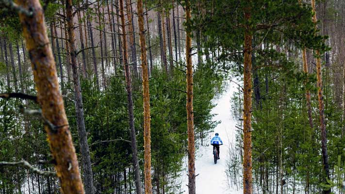 Pyöräilijä talvella metsässä.
